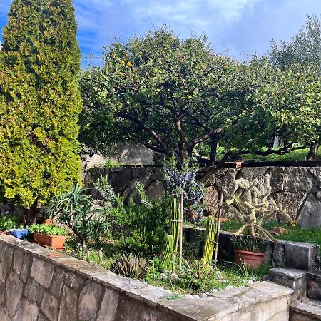 Apartments Cvjetkovic مْليني المظهر الخارجي الصورة