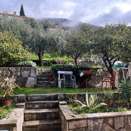 Apartments Cvjetkovic مْليني المظهر الخارجي الصورة