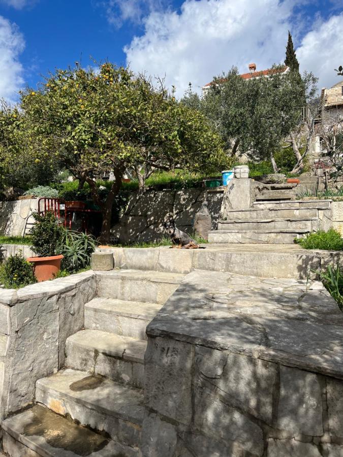 Apartments Cvjetkovic مْليني المظهر الخارجي الصورة