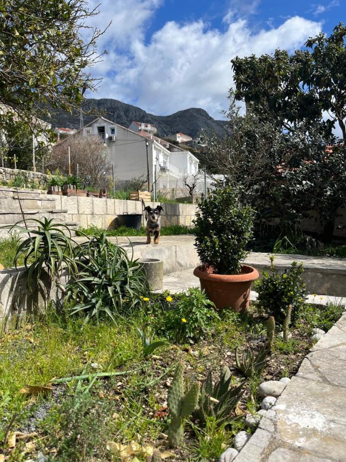 Apartments Cvjetkovic مْليني المظهر الخارجي الصورة