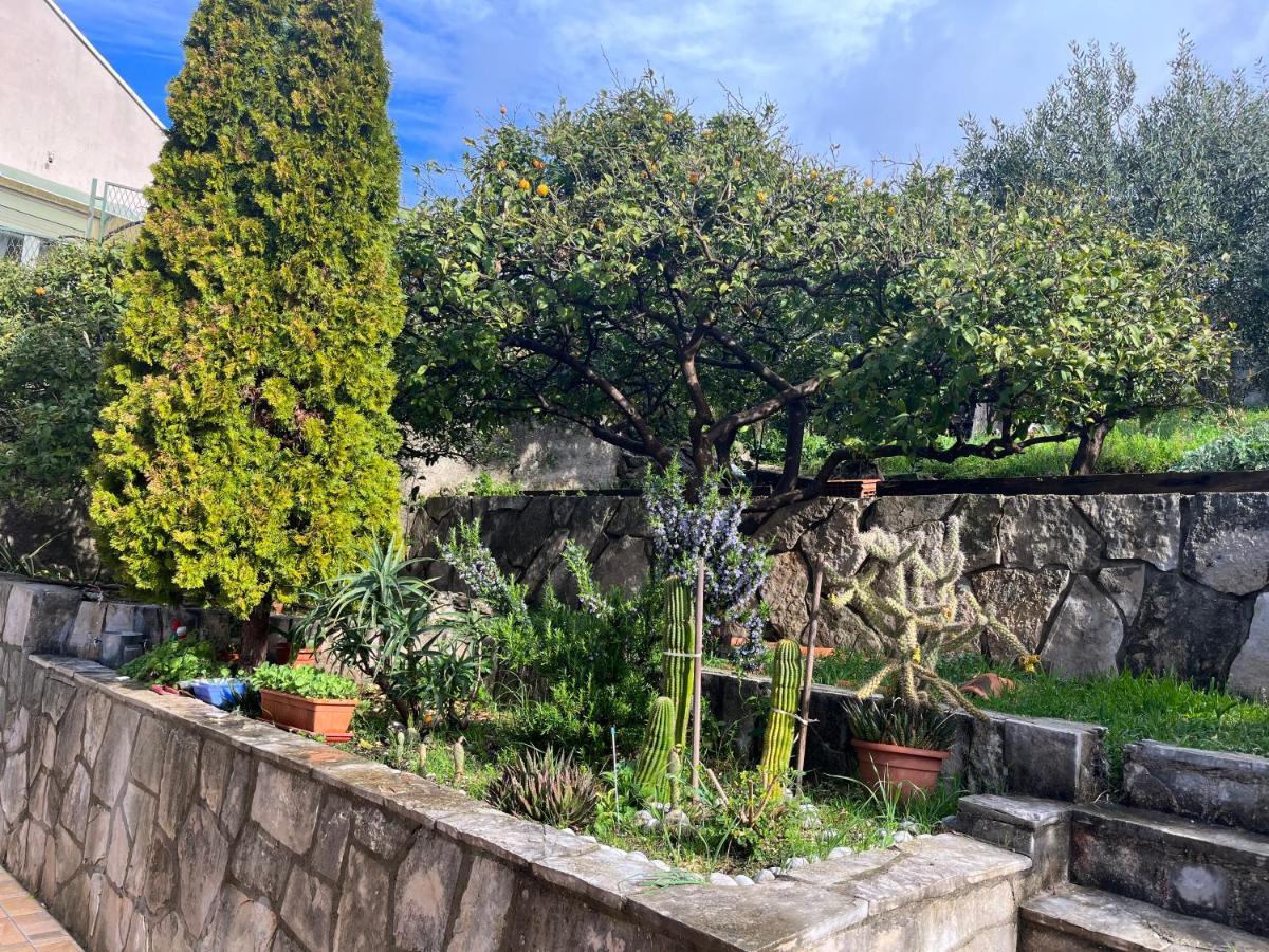 Apartments Cvjetkovic مْليني المظهر الخارجي الصورة