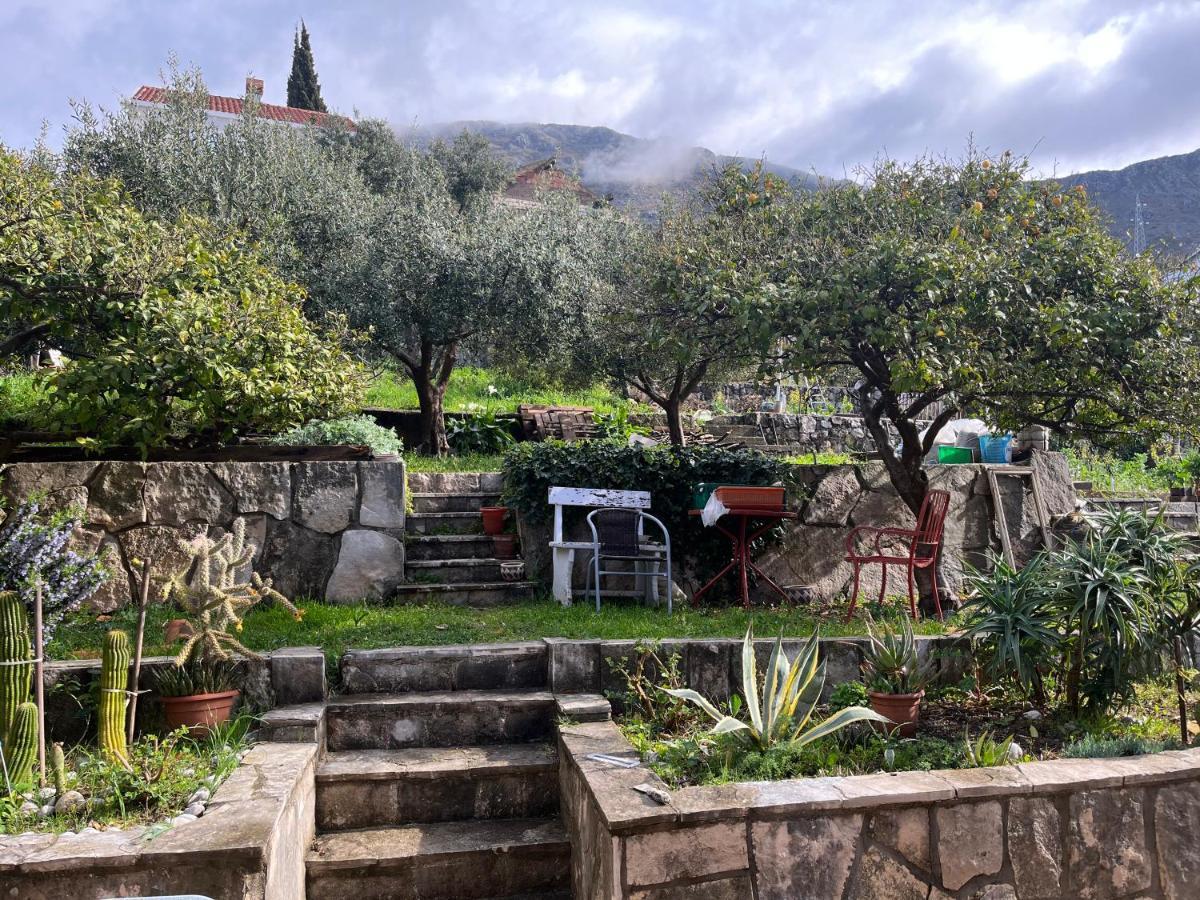 Apartments Cvjetkovic مْليني المظهر الخارجي الصورة